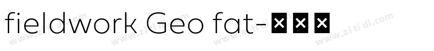 fieldwork Geo fat字体转换
